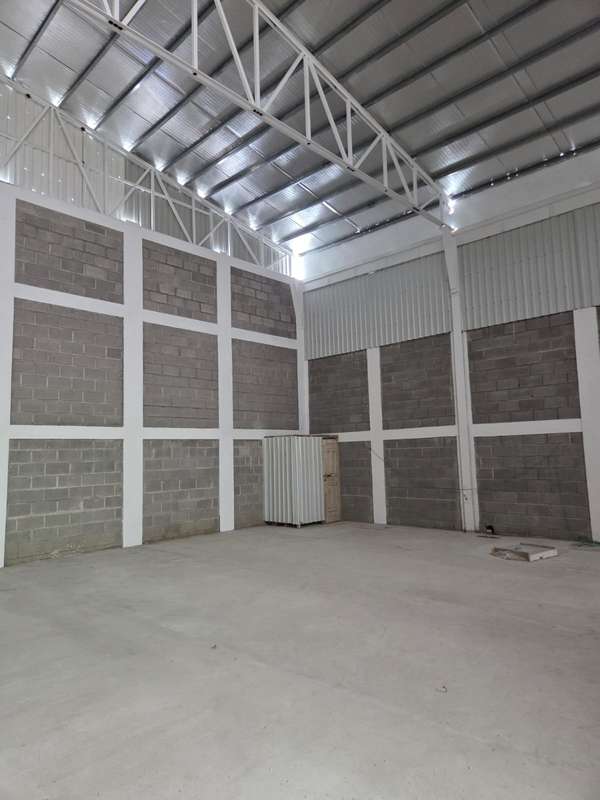 NEW WINERIES - 243 AND 251 M2 - CENTRAL - 124; SPS