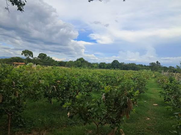  ¡PROPIEDAD EN VENTA – PLAYITAS, COMAYAGUA! 