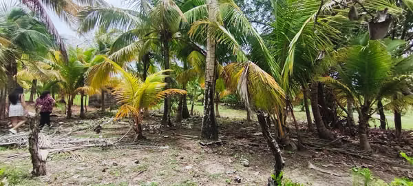 Terreno a orilla de playa 