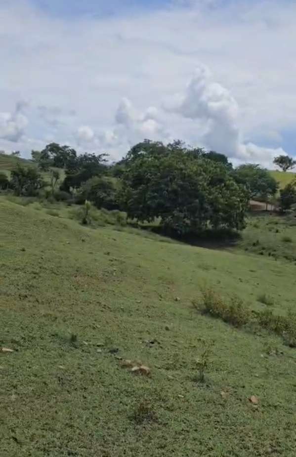Finca 