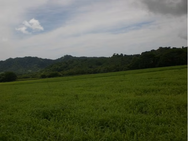 Venta de finca en San Juan del Sur, desde 5 mnza. Dmm