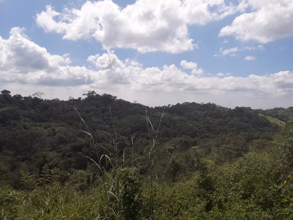 Selling rustic estate in Villa El Carmen 0511