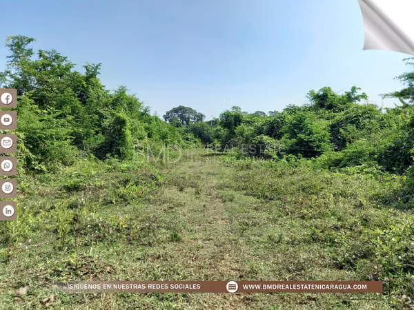 VENTA TERRENOS PARA LOTIFICAR EN FALDAS DEL MOMBACHO 5382