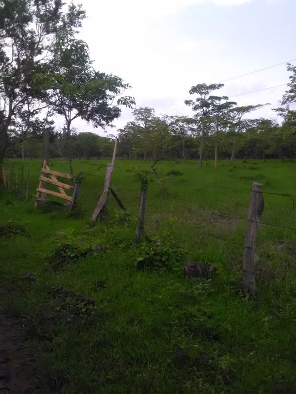 Venta Finca a 15 kms de Acoyapa 500 mzs. Dmm