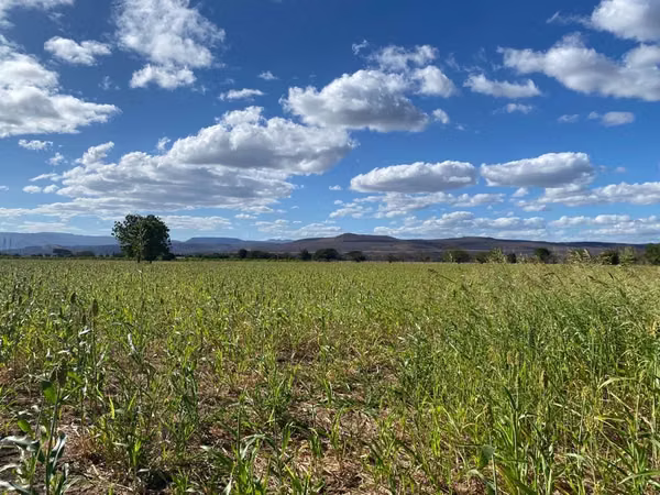 En venta preciosa finca en CHAGUITILLO SEBACO-MATAGALPA (NICARAGUA AMÉRICA CENTRAL)