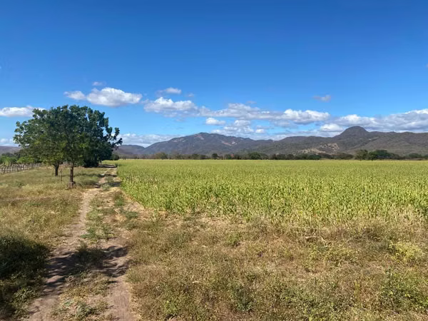 En venta preciosa finca en CHAGUITILLO SEBACO-MATAGALPA (NICARAGUA AMÉRICA CENTRAL)