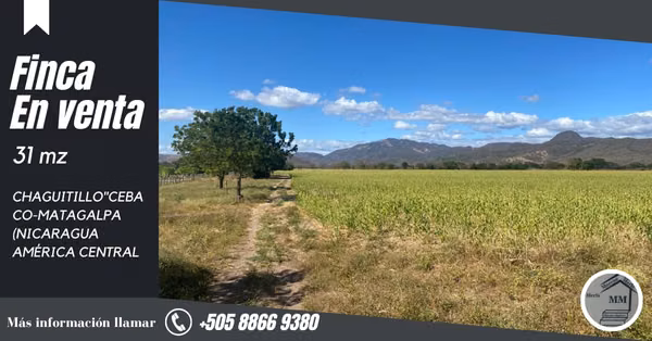 En venta preciosa finca en CHAGUITILLO SEBACO-MATAGALPA (NICARAGUA AMÉRICA CENTRAL)