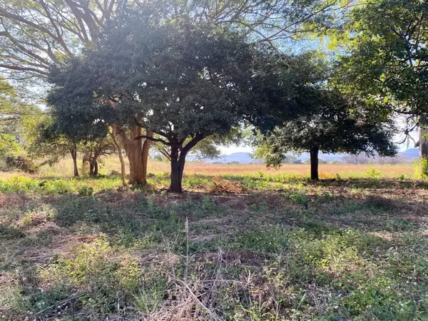 En venta preciosa finca en CHAGUITILLO SEBACO-MATAGALPA (NICARAGUA AMÉRICA CENTRAL)