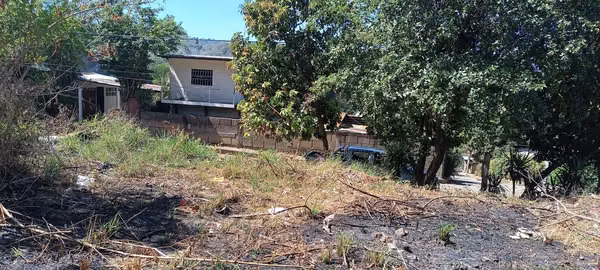 Colonia Wheelock C. Sur vendo terreno  4105