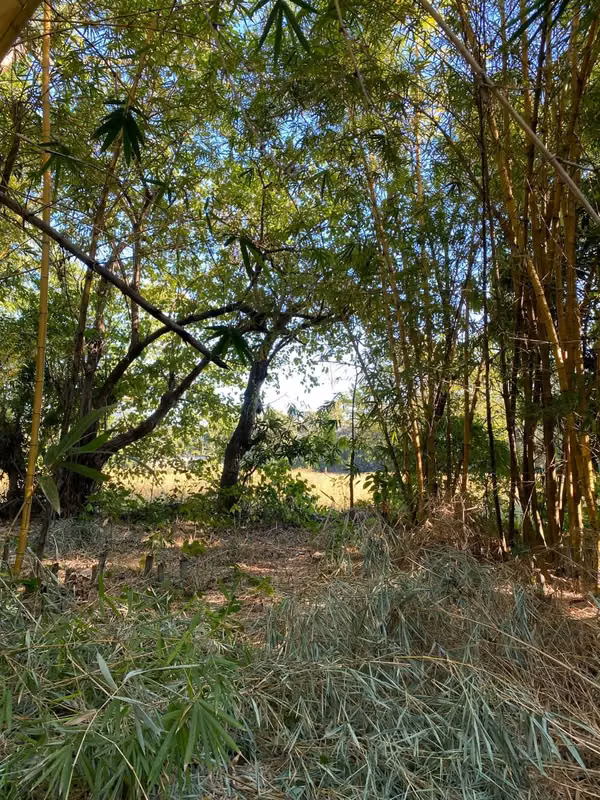 Ganga Venta de hermoso terreno con clima fresco.