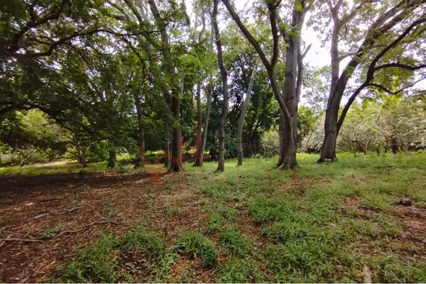 Terreno en venta en Carretera a masaya km 10 1/2