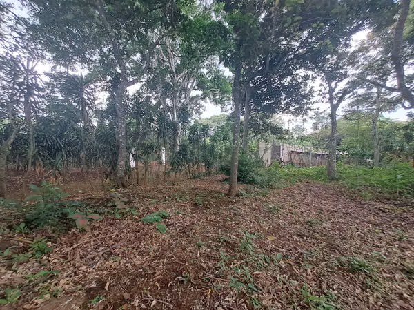 Terreno en Carretera San Marcos a Jinotepe a 400 mts de carretera