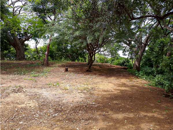 Se Vende Terreno Km. 10.5 Carretera Sur - JJ