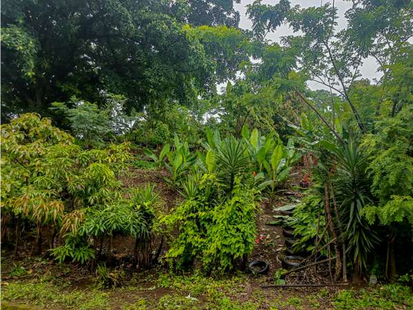 Se Vende terreno con Vista en Carretera Sur - JJ