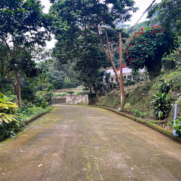 Venta de Antigua Finca Cafetalera en Las Nubes, El Crucero
