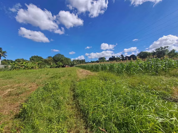 21,004 Vr2 Terreno Sobre Pista a Ticuantepe, Cerca Super Pali