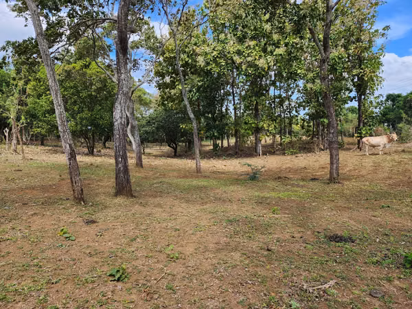 FH-Finca de 4.6 manzanas en venta en Masaya, Monimbó