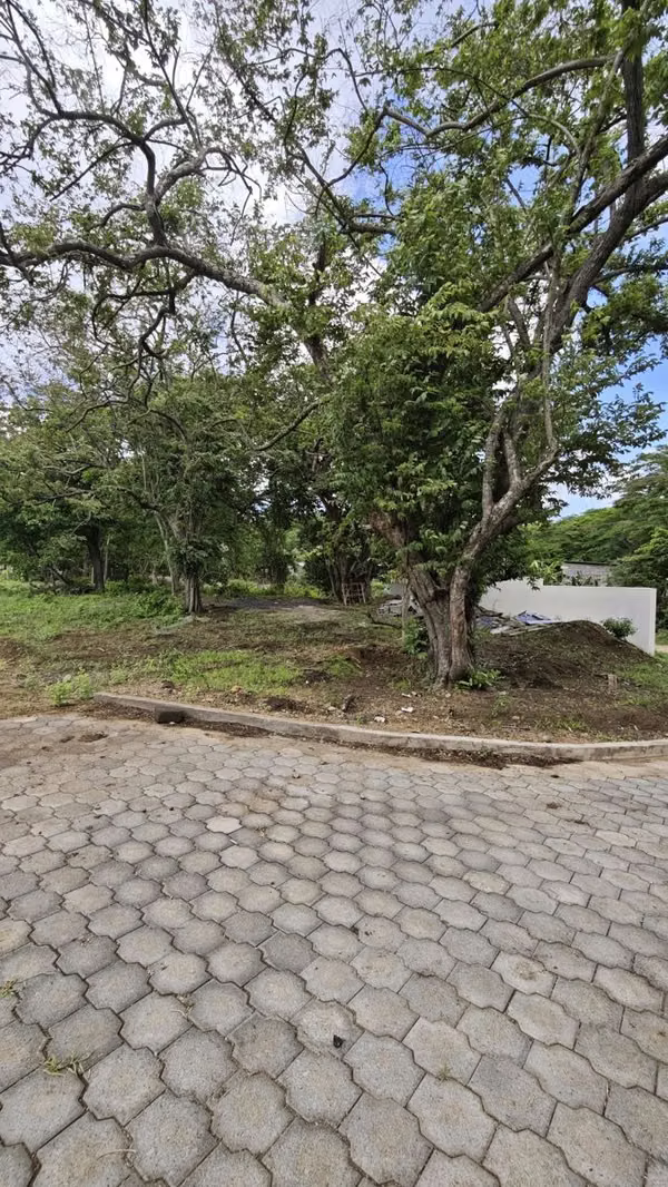 ¡Lotes en venta en San Juan del Sur desde $16,540!