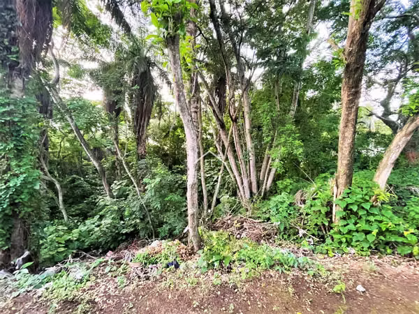 LL - Se Vende Terreno en Balcones de Santo Domingo