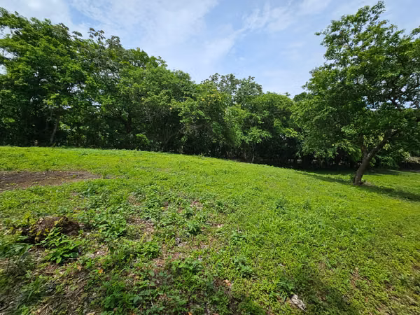 FP/Terreno en Venta – 6,590 varas² Km 47 Carretera Panamericana