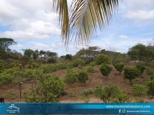 Vendo Finca en Niquinohomo  VZ