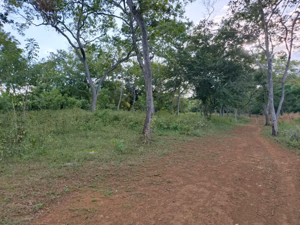 SANTO DOMINGO - SE VENDE TERRENO DE 7.63 MANZANAS