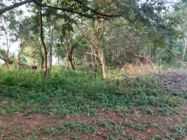 SANTO DOMINGO - SE VENDE TERRENO DE 7.63 MANZANAS