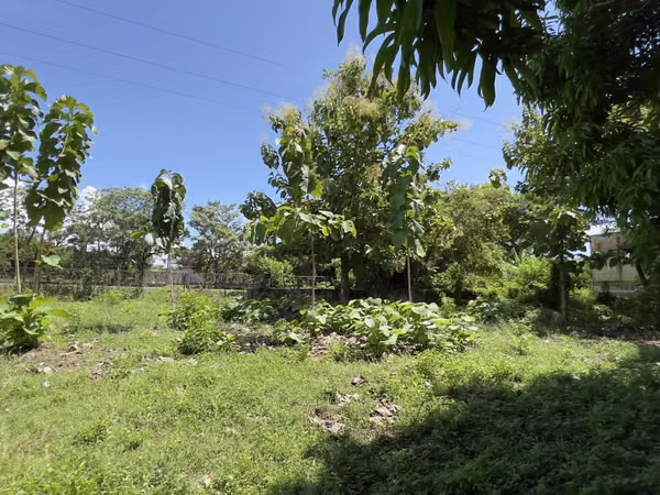 Ubicación Comercial con Terreno en la Carretera Panamericana – ¡Reducido para Venta Rápida!