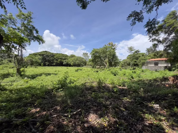 Ubicación Comercial con Terreno en la Carretera Panamericana – ¡Reducido para Venta Rápida!