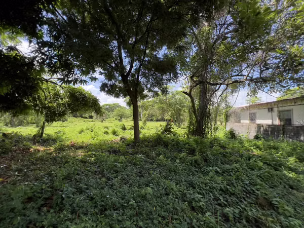 Ubicación Comercial con Terreno en la Carretera Panamericana – ¡Reducido para Venta Rápida!