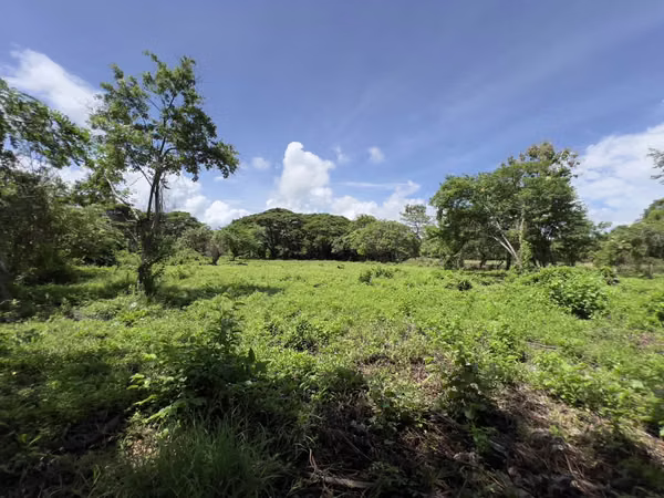 Ubicación Comercial con Terreno en la Carretera Panamericana – ¡Reducido para Venta Rápida!
