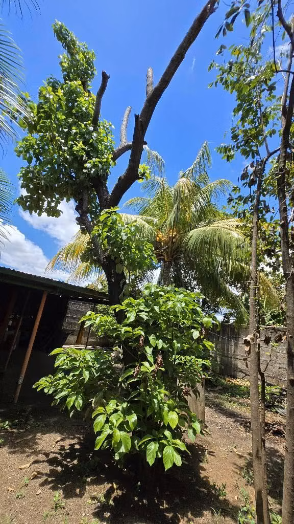 TIPITAPA LINDA CASA CAMPESTRE