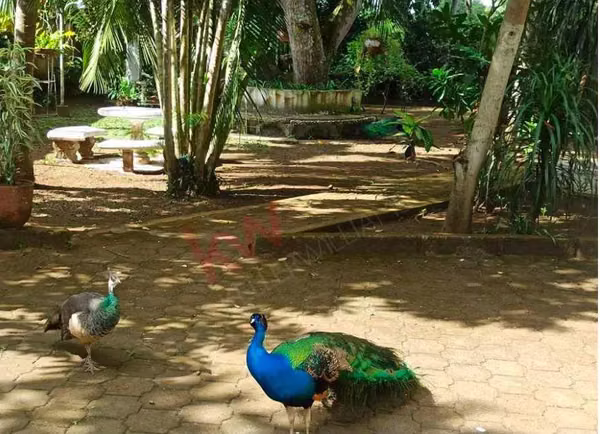 VENTA DE QUINTA DE 1 MNZ EN CARRETERA MASATEPE SAN MARCOS ml