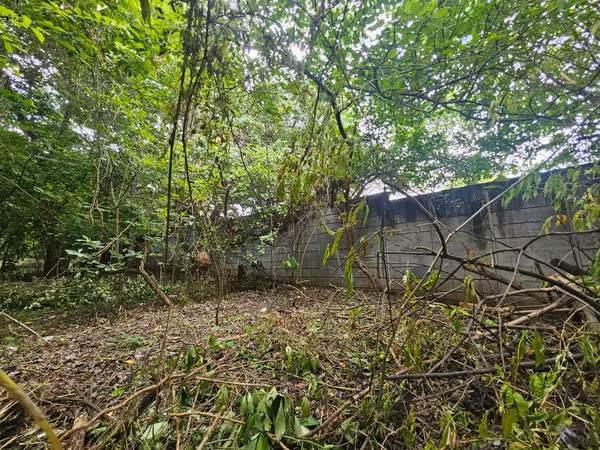 VENTA DE TERRENO EN MASAYA ml
