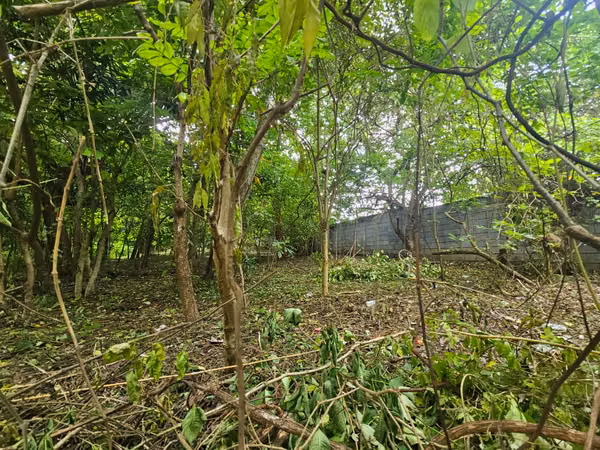 VENTA DE TERRENO EN MASAYA ml
