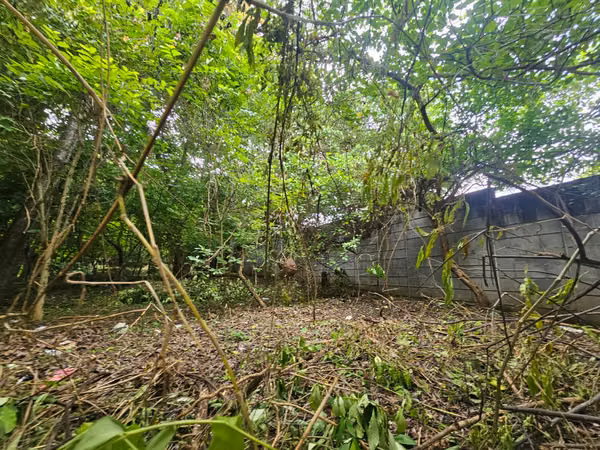 VENTA DE TERRENO EN MASAYA ml