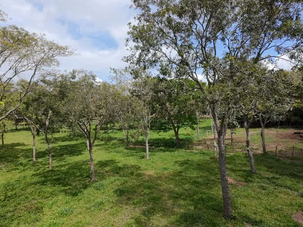 FP>Se vende extensa propiedad en comarca el mojón Jinotepe, Carazo