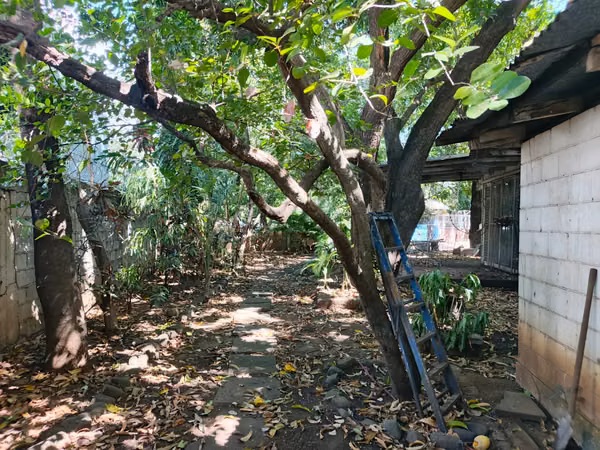 ROAD MASAYA KM 5.5 - PROPERTY IS SOLD WITH CENTRAL LOCATION