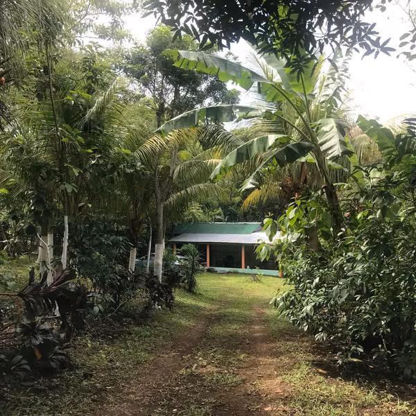 Beautiful farm located close to the main highway.