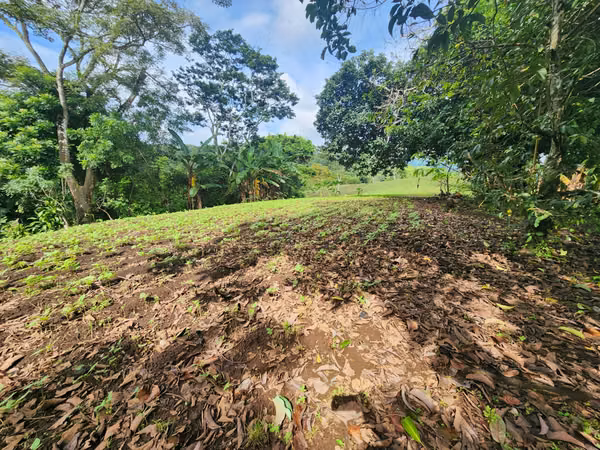 VENTA DE FINCA EN MASATEPE DE 5 MZ.