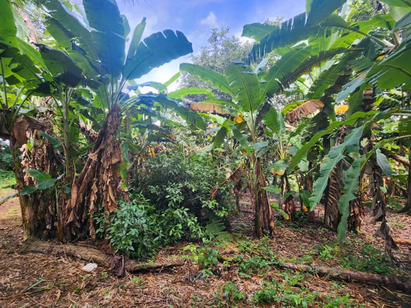 VENTA DE FINCA EN MASATEPE DE 5 MZ.
