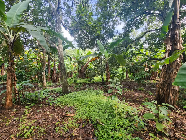 VENTA DE FINCA EN MASATEPE DE 5 MZ.