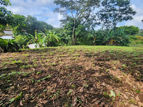 VENTA DE FINCA EN MASATEPE DE 5 MZ.