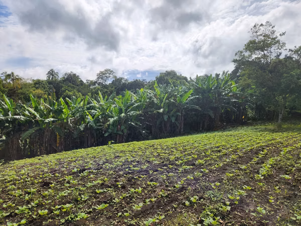 VENTA DE FINCA EN MASATEPE DE 5 MZ.