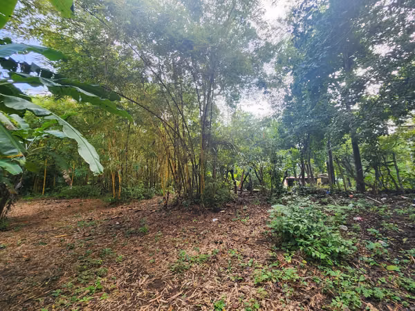 VENTA DE FINCA EN MASATEPE DE 5 MZ.