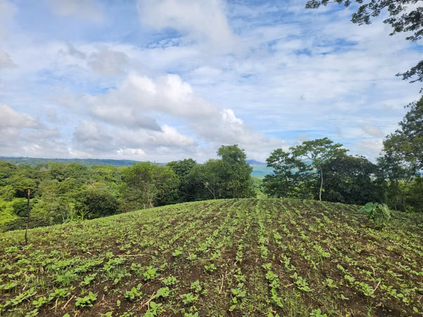 VENTA DE FINCA EN MASATEPE DE 5 MZ.