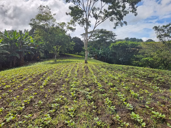 VENTA DE FINCA EN MASATEPE DE 5 MZ.