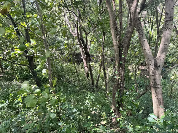 EN VENTA TERRENO EN QUINTA LOS ANGELES CARRETERA SUR KM 14