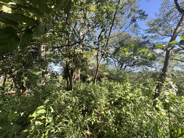 EN VENTA TERRENO EN QUINTA LOS ANGELES CARRETERA SUR KM 14