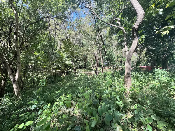 EN VENTA TERRENO EN QUINTA LOS ANGELES CARRETERA SUR KM 14